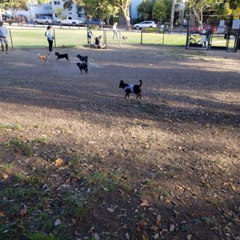 Ohlone Dog Park photo 1